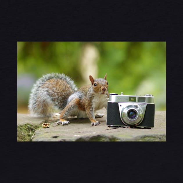 Grey squirrel Photographer with vintage camera by Simon-dell